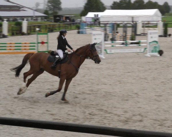 Reitturnier Honsolgen-Buchloe/Schw. 2024