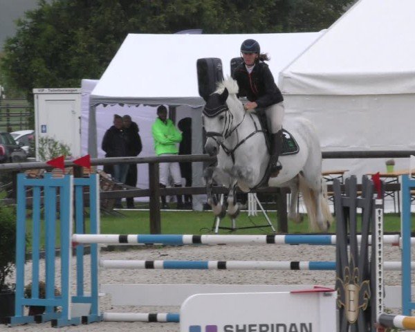 Reitturnier Honsolgen-Buchloe/Schw. 2024