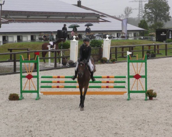 Reitturnier Honsolgen-Buchloe/Schw. 2024