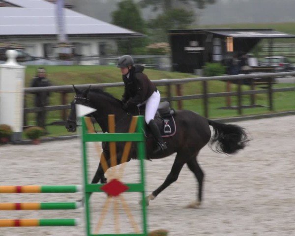 Reitturnier Honsolgen-Buchloe/Schw. 2024