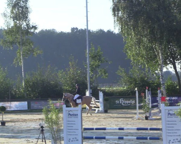 Reitturnier Seppenrade 2024