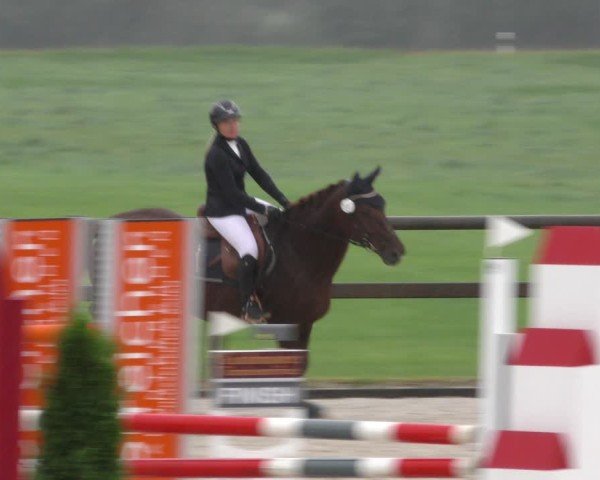 Reitturnier Honsolgen-Buchloe/Schw. 2024