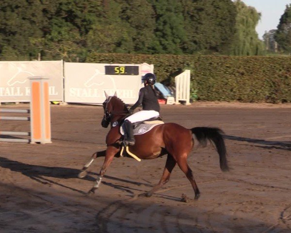 Reitturnier Lentzke - Reitanlage Krehl 2024
