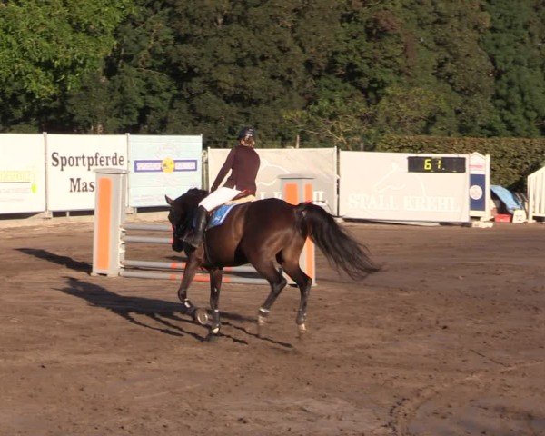 Reitturnier Lentzke - Reitanlage Krehl 2024