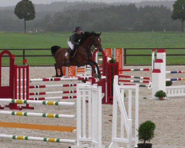 Reitturnier Honsolgen-Buchloe/Schw. 2024