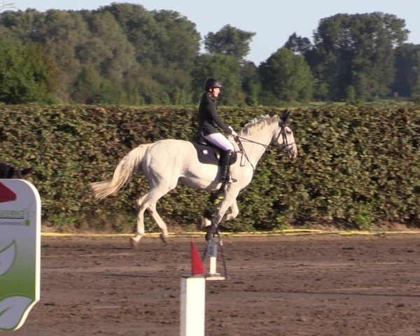 Reitturnier Lentzke - Reitanlage Krehl 2024