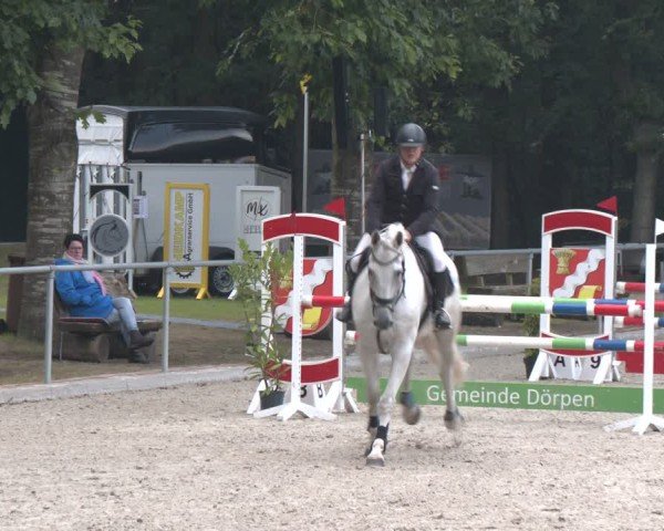Rideturnering Dörpen 2024