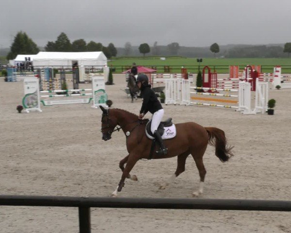 Reitturnier Honsolgen-Buchloe/Schw. 2024