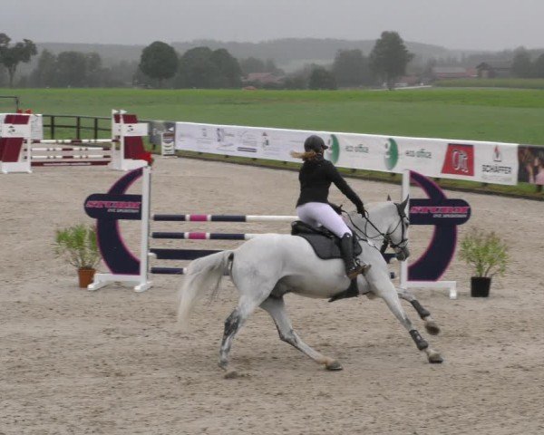 Reitturnier Honsolgen-Buchloe/Schw. 2024