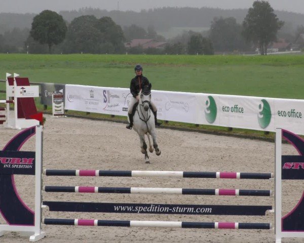 Reitturnier Honsolgen-Buchloe/Schw. 2024