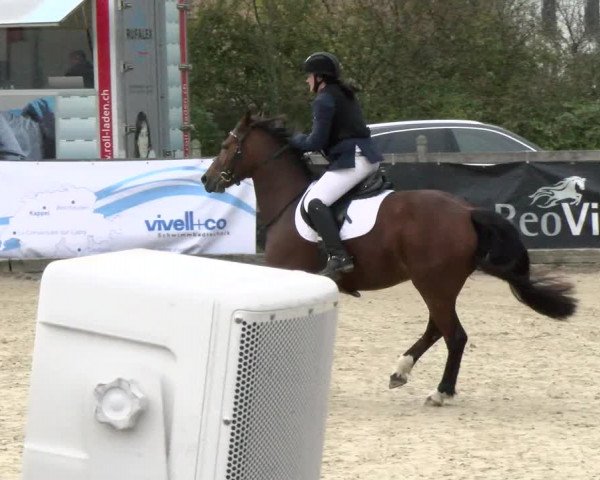 Pferdesporttage Neuendorf SO 2021