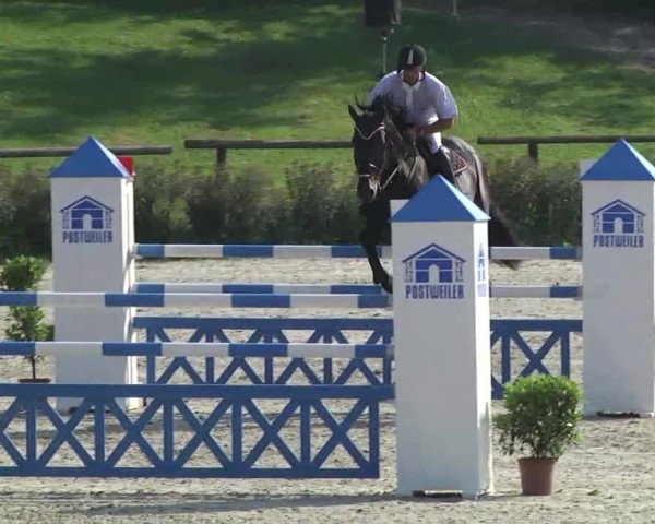 Landeschampionat Baden-Württemberg 2013