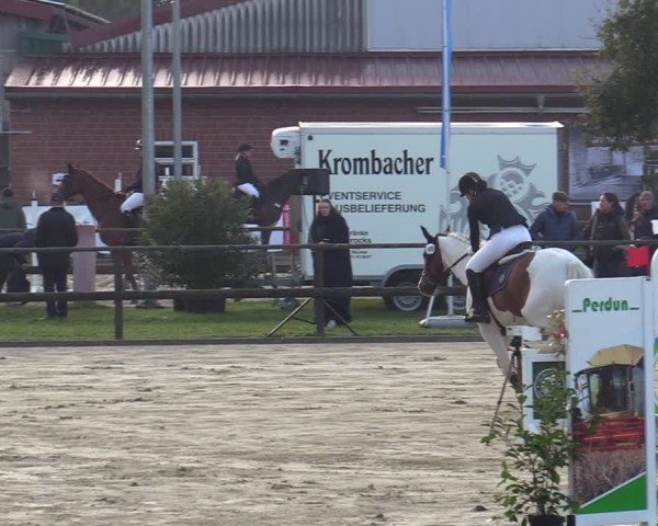 Reitturnier Albersloh 2024