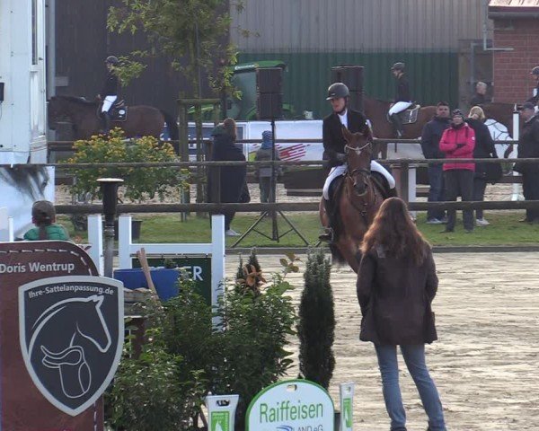 Reitturnier Albersloh 2024