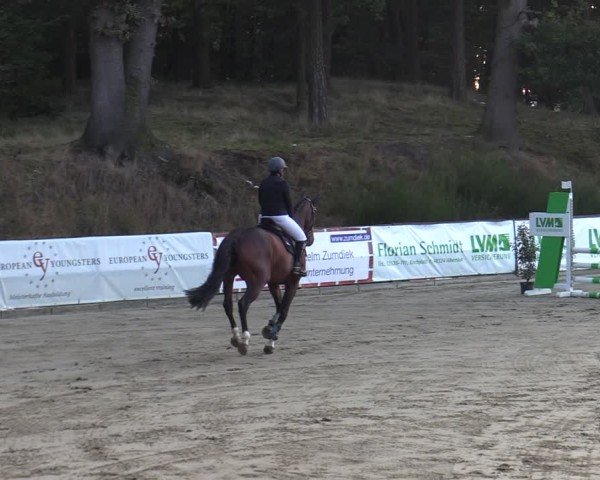 Reitturnier Albersloh 2024