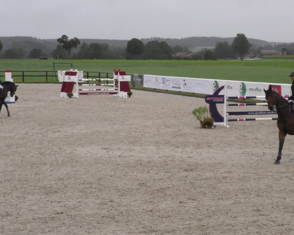Reitturnier Honsolgen-Buchloe/Schw. 2024