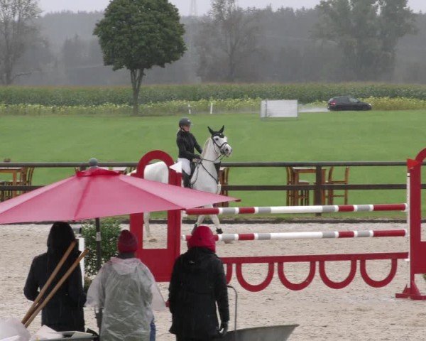 Reitturnier Honsolgen-Buchloe/Schw. 2024