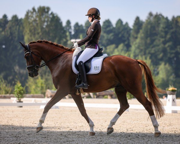 horse Emoji 2 (German Warmblood, 2017, from Estobar NRW)