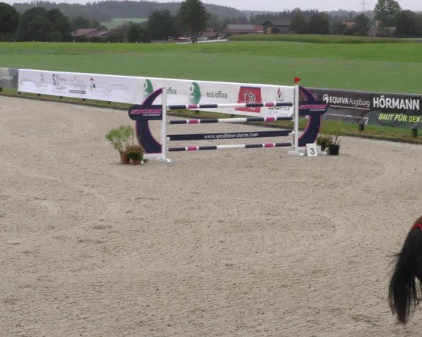 Reitturnier Honsolgen-Buchloe/Schw. 2024