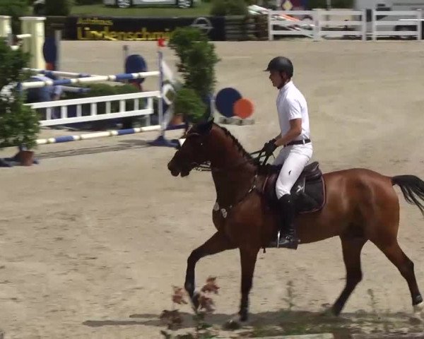 Landeschampionat Baden-Württemberg 2013