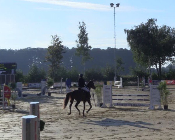 Reitturnier Seppenrade 2024