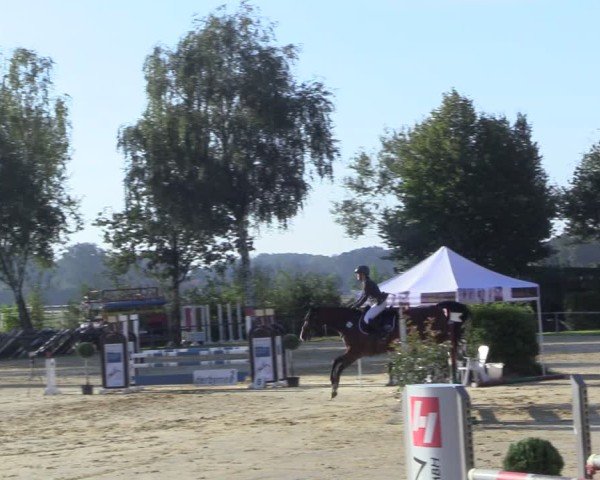 Reitturnier Seppenrade 2024
