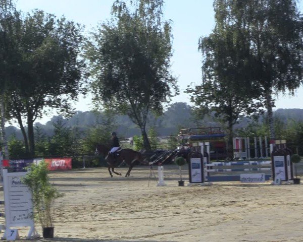 Reitturnier Seppenrade 2024