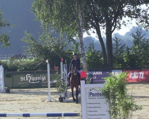 Reitturnier Seppenrade 2024