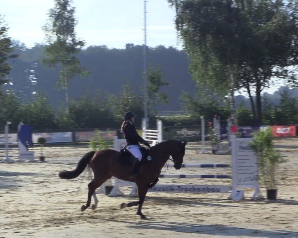 Reitturnier Seppenrade 2024