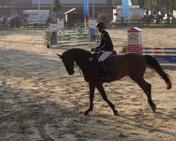 Reitturnier Albersloh 2024