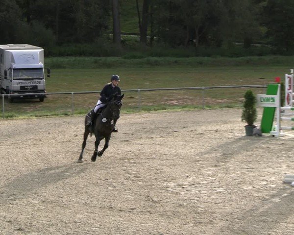 Reitturnier Bad Liebenstein/Sorga 2024