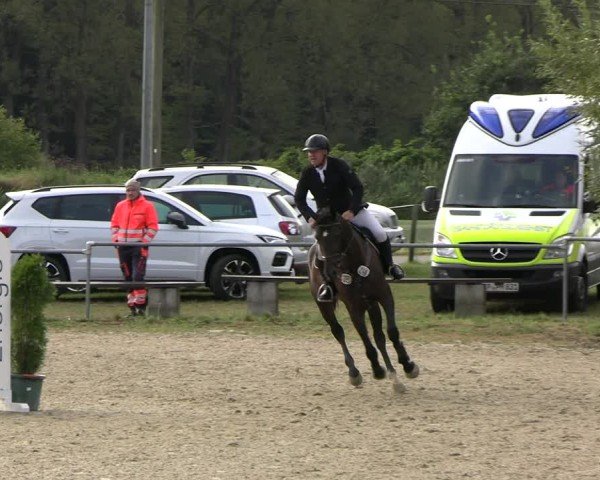 Reitturnier Bad Liebenstein/Sorga 2024
