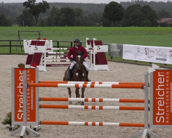 Reitturnier Honsolgen-Buchloe/Schw. 2024