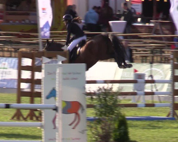 Reitturnier Mühlengeez 2024