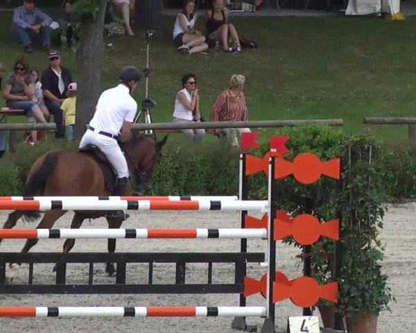 Landeschampionat Baden-Württemberg 2013