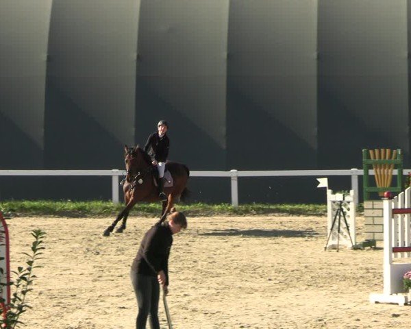 Reitturnier Bad Schmiedeberg 2024