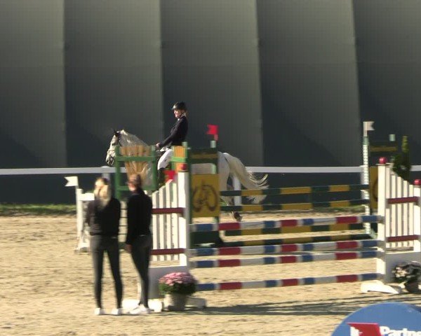 Reitturnier Bad Schmiedeberg 2024