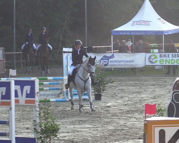 Reitturnier Albersloh 2024