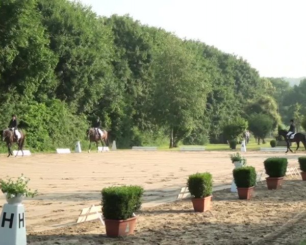 Sommerturnier Dülken-Viersen 2013