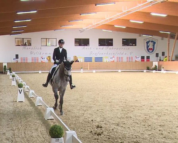 Reitturnier Grafenrheinfeld/Ufr. 2024