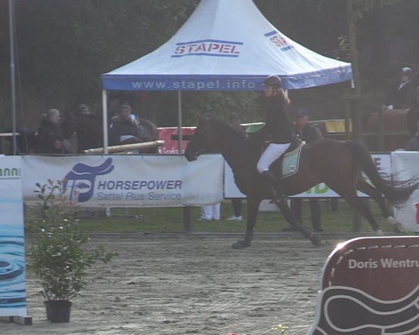 Reitturnier Albersloh 2024