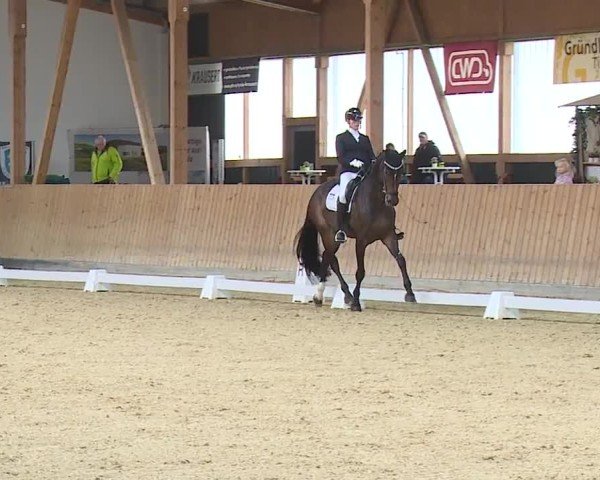 Reitturnier Grafenrheinfeld/Ufr. 2024