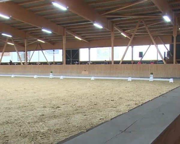 Reitturnier Grafenrheinfeld/Ufr. 2024