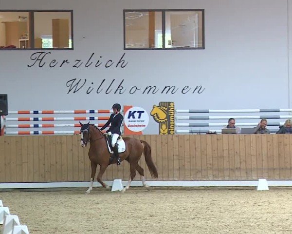 Reitturnier Grafenrheinfeld/Ufr. 2024