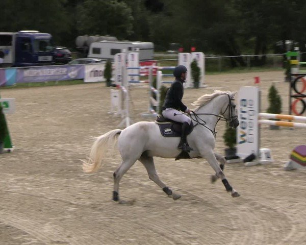 Reitturnier Bad Liebenstein/Sorga 2024