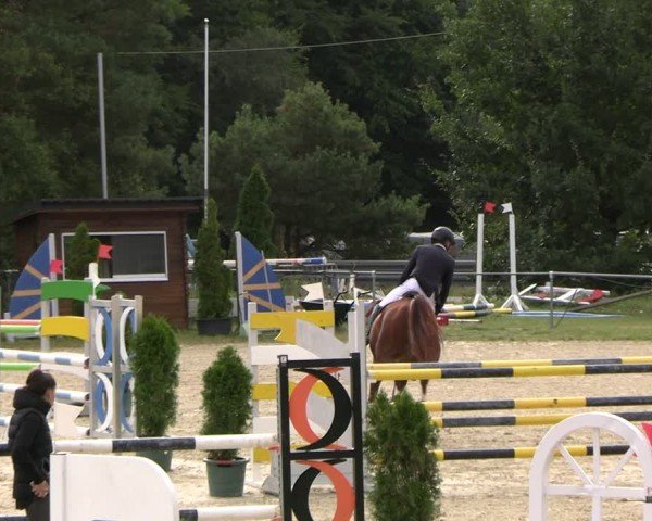 Reitturnier Bad Liebenstein/Sorga 2024