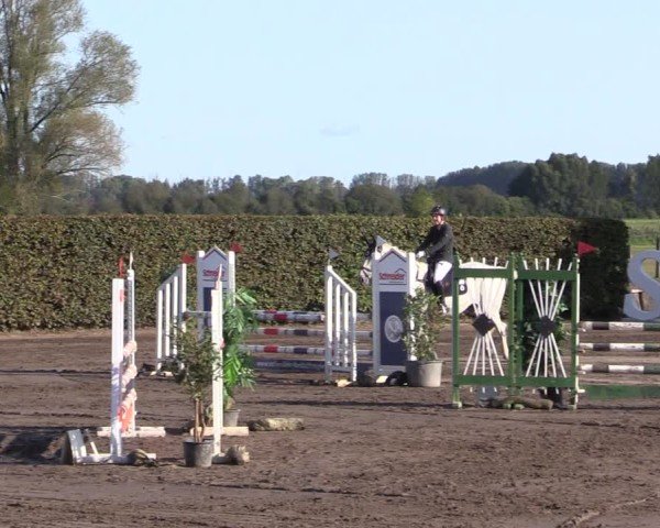 Reitturnier Lentzke - Reitanlage Krehl 2024