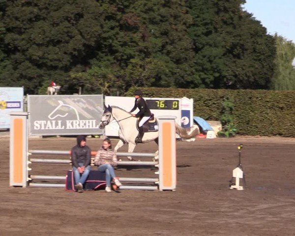 Reitturnier Lentzke - Reitanlage Krehl 2024