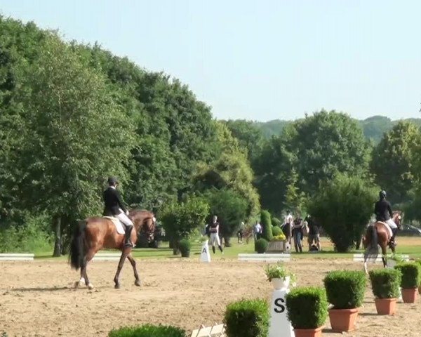 Sommerturnier Dülken-Viersen 2013