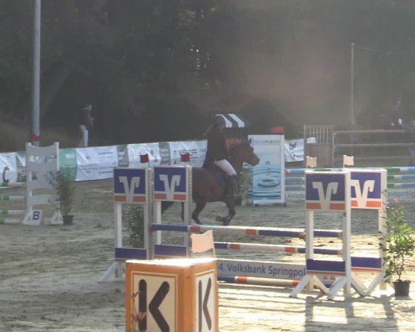 Reitturnier Albersloh 2024